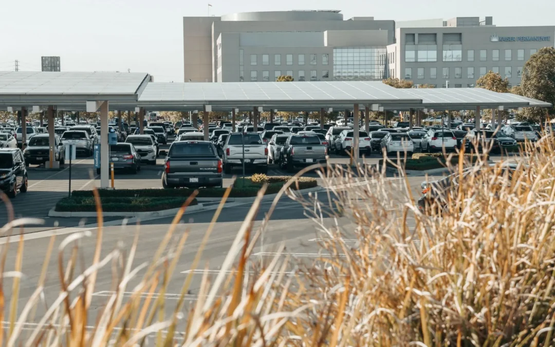 Parking Lot Solar vs Rooftop Solar: Which Surface Should Carry a Florida Array?
